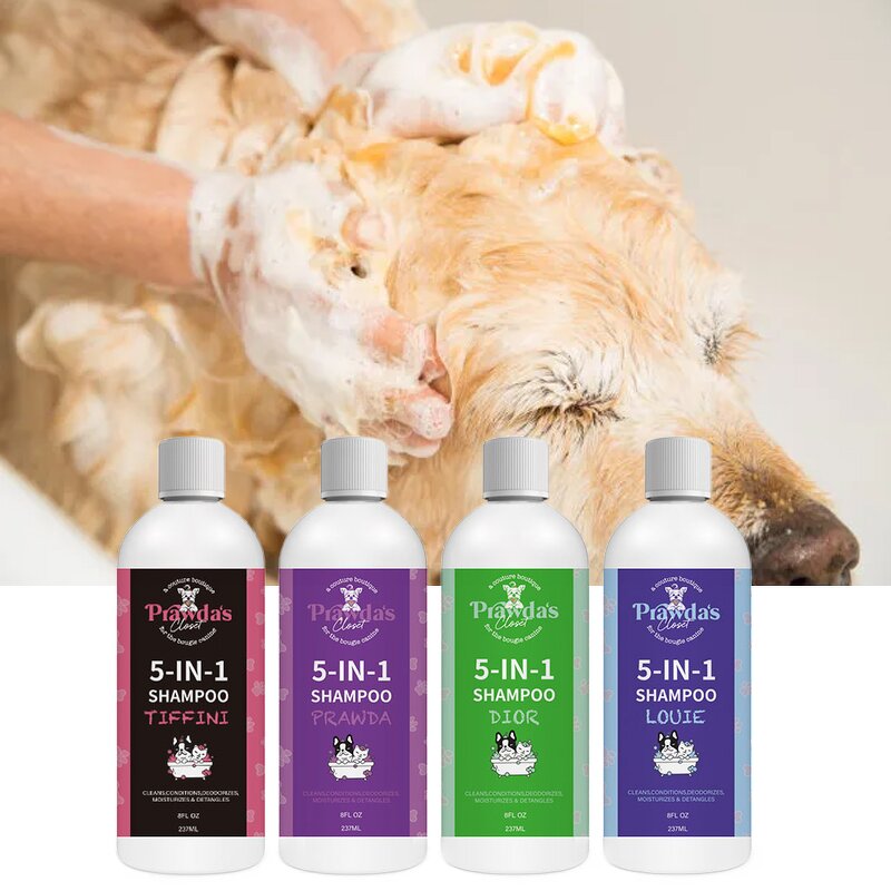 Dry Pet Shampoo Manufacturer - OEM/ODM Private Label Natural Ingredient No Rinse Foam