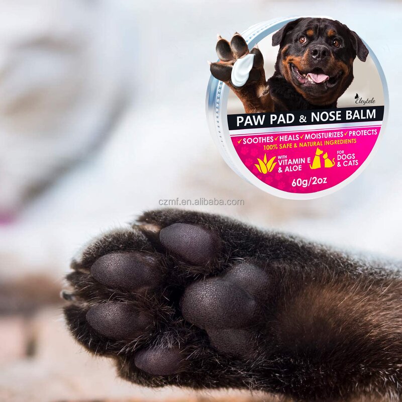 Pet Mouthwash Manufacturer - OEM/ODM Dogs Care Dental Use Disinfect Cleaning