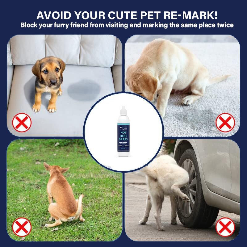 Pet Shampoo Manufacturer - OEM/ODM Private Label 5 in 1 Gentle Hypoallergenic Nourishing