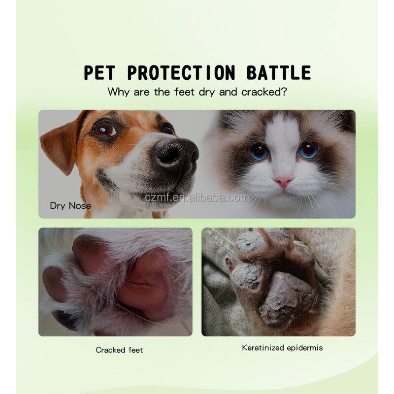 Pet Ear Drops Manufacturer - OEM/ODM Private Label Natural Eco-friendly Wax Removal
