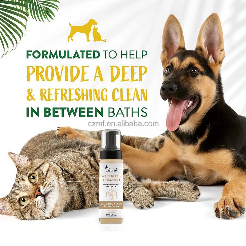 Pet Paw Balm Manufacturer - OEM/ODM Private Label Natural Protection Soother Custom