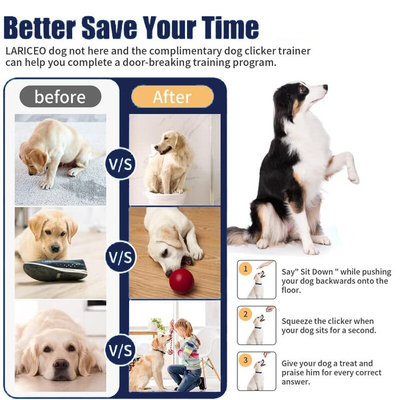 Pet Shampoo Manufacturer - OEM/ODM Private Label 5 in 1 Gentle Hypoallergenic Nourishing