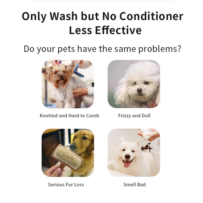 Dry Pet Shampoo Manufacturer - OEM/ODM Private Label Natural Ingredient No Rinse Foam
