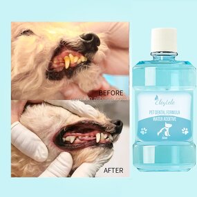 Dry Dog Shampoo Manufacturer - OEM/ODM OEM Private Label Waterless Natural for Flea