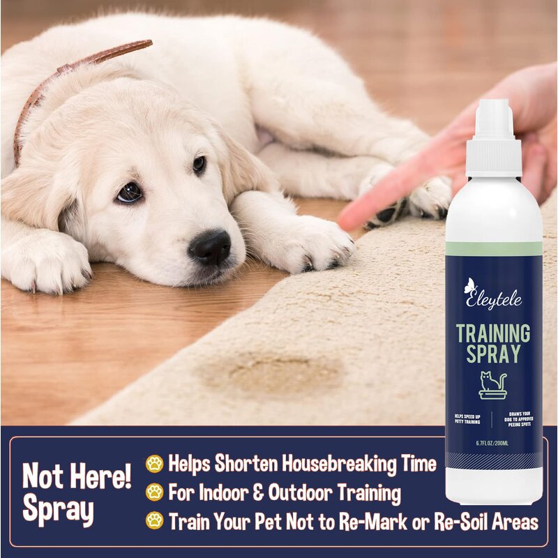 Green Tea Mask Stick Manufacturer - OEM/ODM Wholesale Korean Face Green Mud Whitening