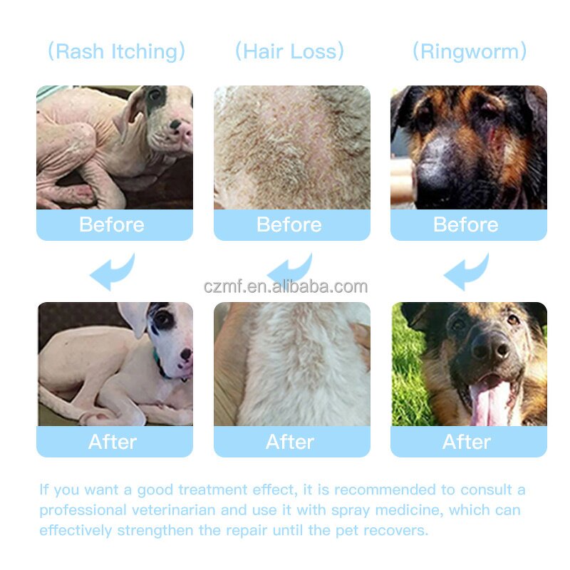 Pet Paw Balm Manufacturer - OEM/ODM Private Label OEM Organic Natural Wax Heals