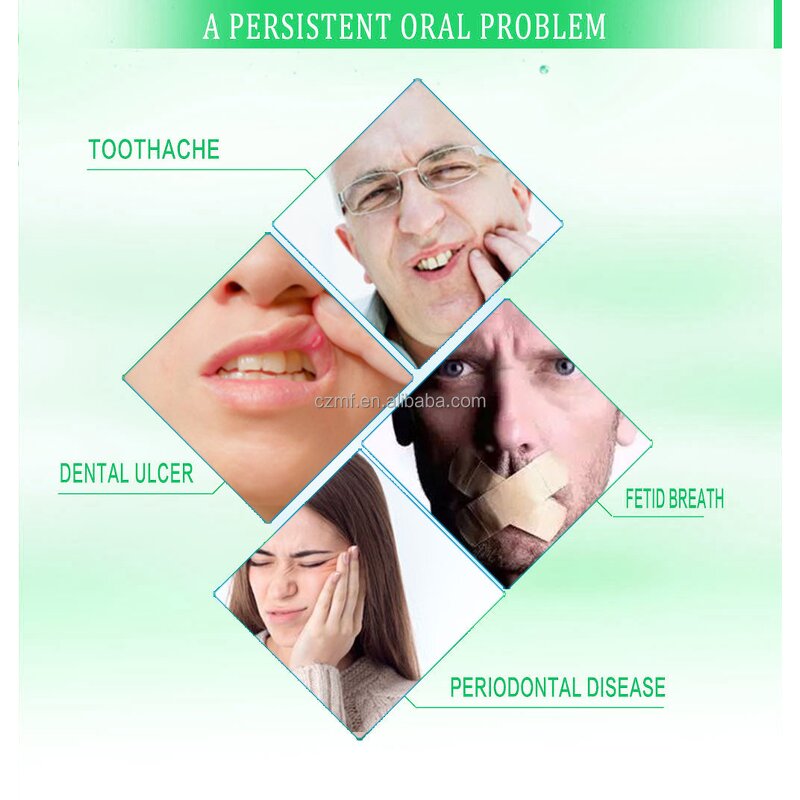 Pet Deodorant Spray Manufacturer - OEM/ODM Private Label Paraben Free Long Lasting