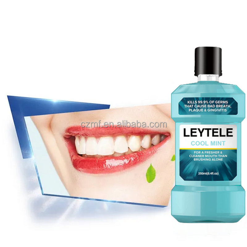 Whitening Toothpaste Manufacturer - OEM/ODM 2023 Hot Selling OEM Organic Mint Flavor