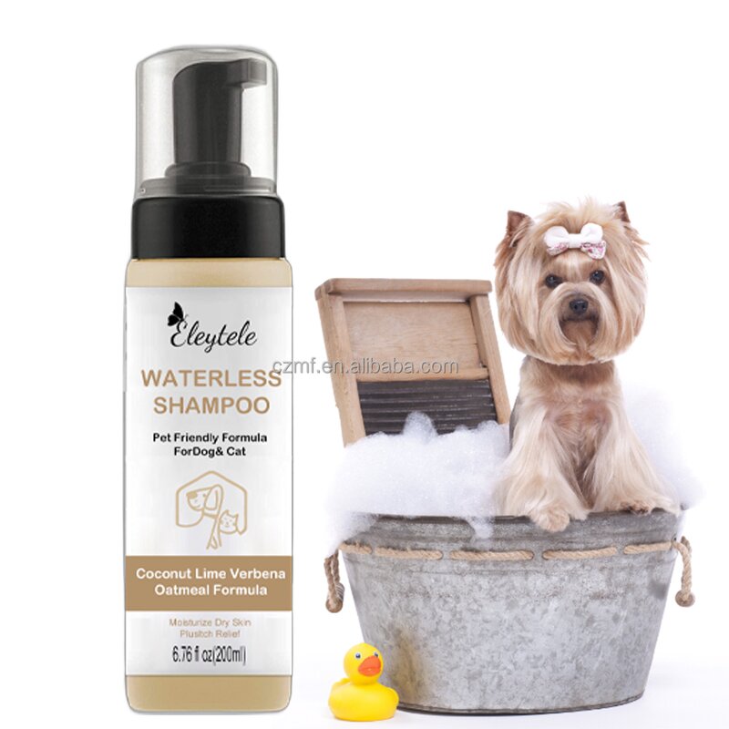 Pet Paw Balm Manufacturer - OEM/ODM Private Label Natural Protection Soother Custom