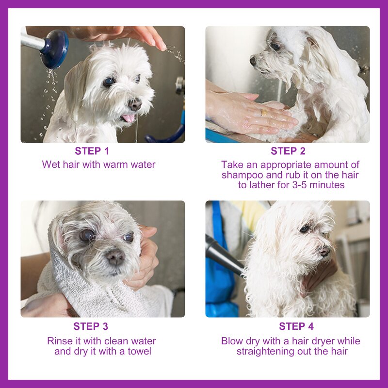 Dry Pet Shampoo Manufacturer - OEM/ODM Private Label Natural Ingredient No Rinse Foam