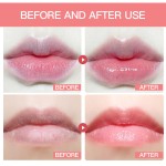 Adult Anti-Aging Series