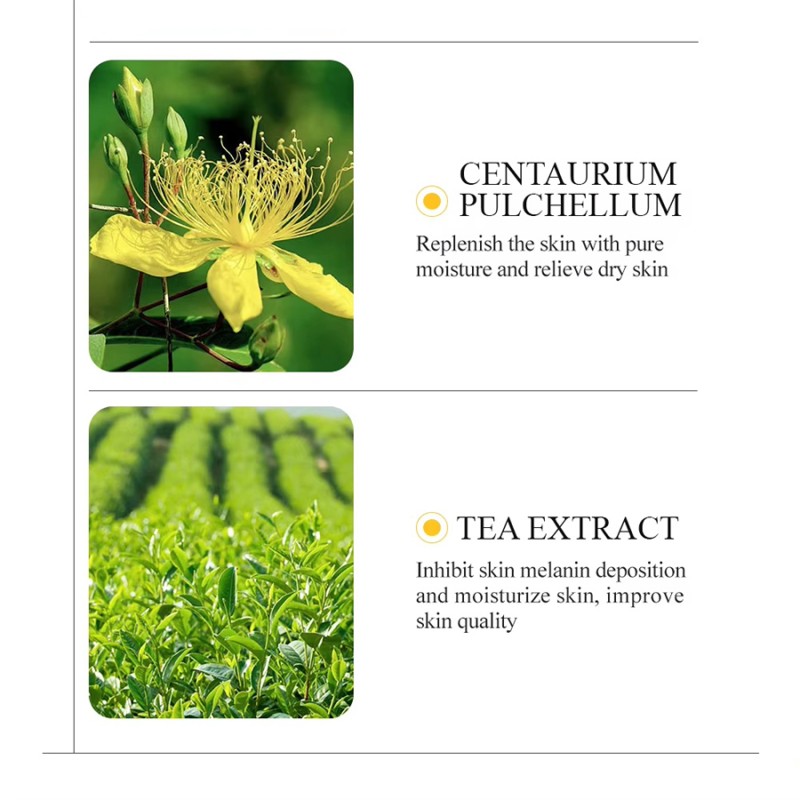 Face Cream Manufacturer - Free Sample Improves Elasticity Firming