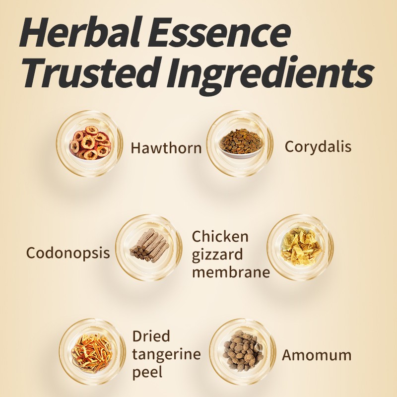 Health Paste Supplier - Children Baby Navel Paste Stomach Regulation