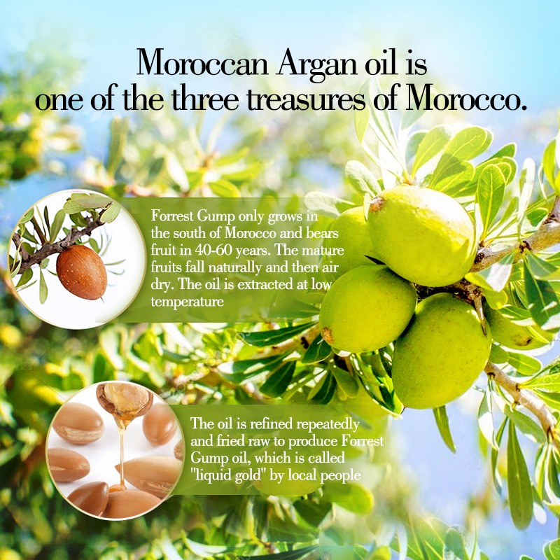 Argan Oil Conditioner Manufacturer - OEM/ODM Wholesale Organic Moisturizing Repairing