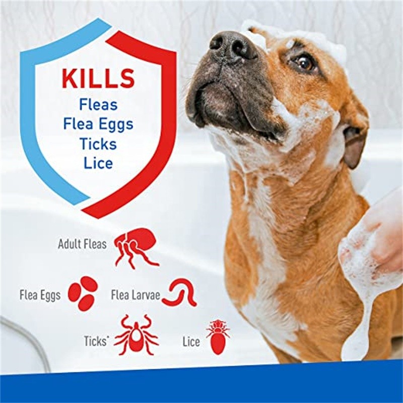 Flea Tick Pet Shampoo Manufacturer - OEM Factory Sale Vegan Remove Mites Anti Itch Relieve Dry