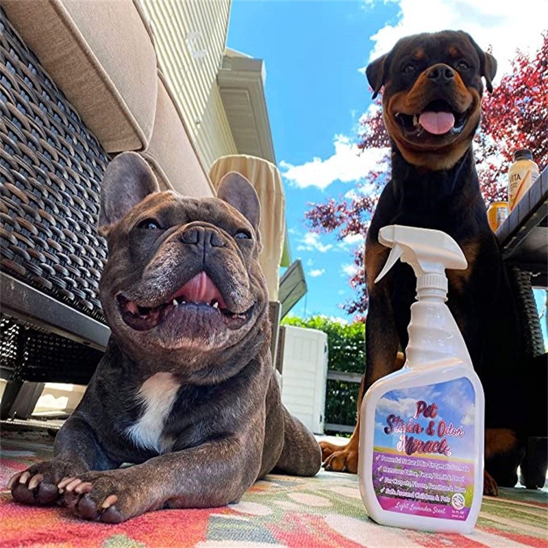 Pet Enzyme Deodorant Spray Manufacturer - OEM LOW MOQ Remove Odor Natural Eliminator for Dog Urine