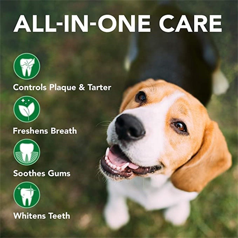 Dog Toothpaste Gel Manufacturer - OEM Vet Recommend Baking Soda Dental Care Fresh Breath Remove Tartar