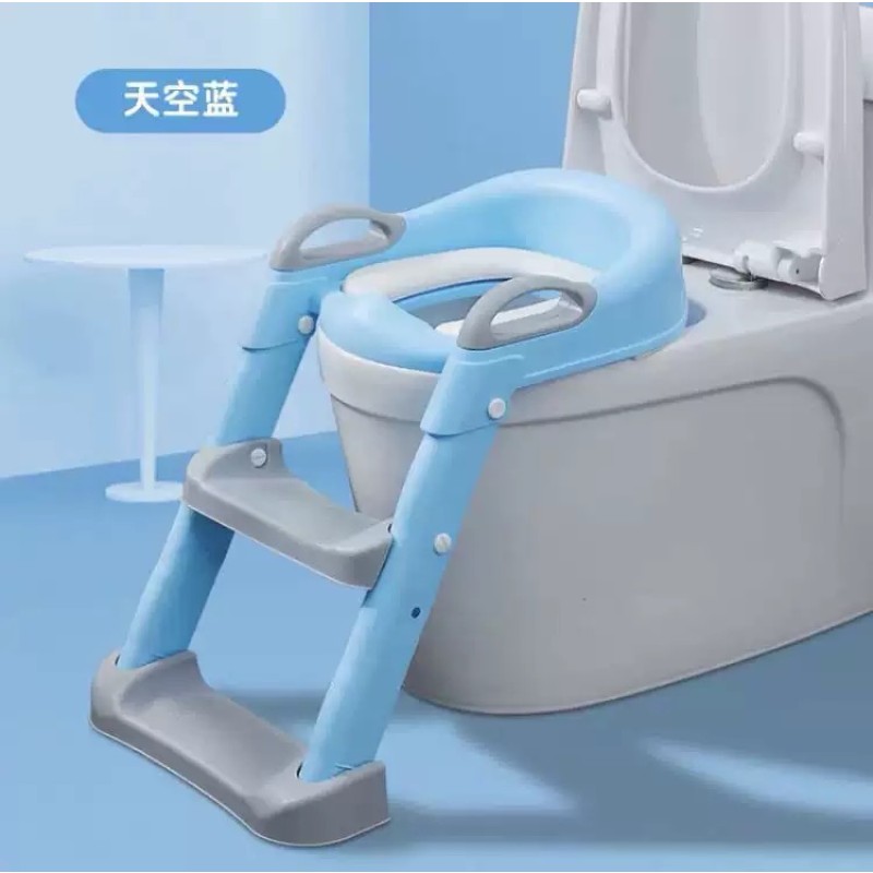 Plastic Potty Seat Manufacturer - Portable Ladder Infant Trainer