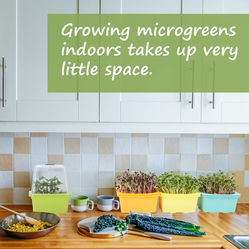 Seed Starter Tray Manufacturer - 2025 New Flexible Silicone 4 Inch Tall Reusable