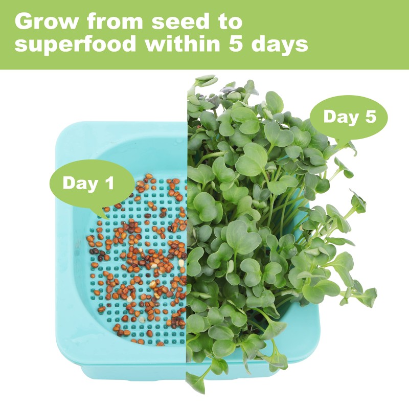 Seed Starter Tray Manufacturer - 2025 New Flexible Silicone 4 Inch Tall Reusable