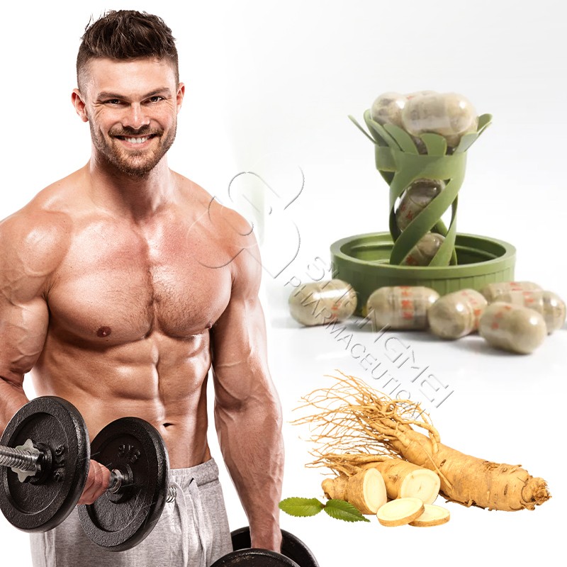 OEM High Quality Increase Body Weight Ginseng Pills Digestion Enhance Ginseng Capsules Weight Gain Supplements for Men Women