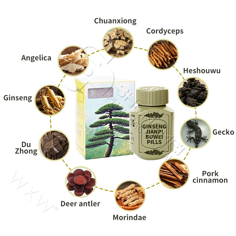 OEM High Quality Increase Body Weight Ginseng Pills Digestion Enhance Ginseng Capsules Weight Gain Supplements for Men Women