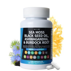 WXW OEM ODM Supplement Manufacturer Sea Moss Shilajit Black Seed Oil Ashwagandha Bladderwrack Burdock Ginger Herbal Capsules