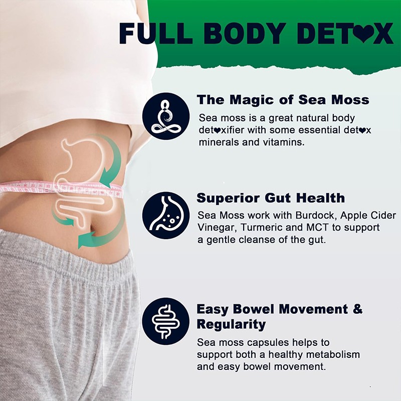 Private Label Organic Burdock Root and Bladderwrack Capsules Irish Seamoss Sea Moss Capsules Pills Gummies