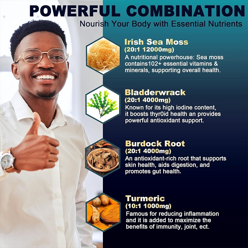 WXW OEM ODM Supplement Manufacturer Sea Moss Shilajit Black Seed Oil Ashwagandha Bladderwrack Burdock Ginger Herbal Capsules