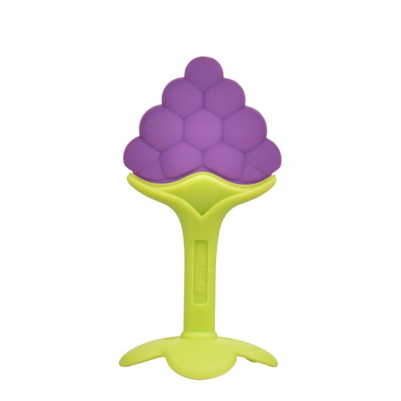 Baby Teether Toy - Fruit Shape Design