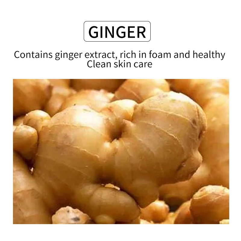 Ginger Shampoo - Organic Herbal Cream