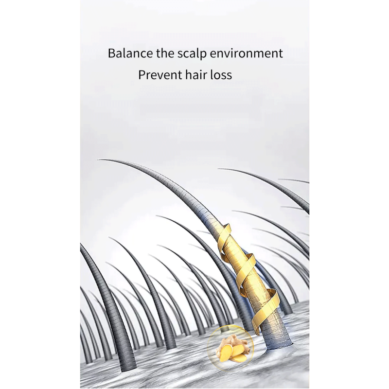 Ginger Shampoo Set - 500ml Hotel Use OEM