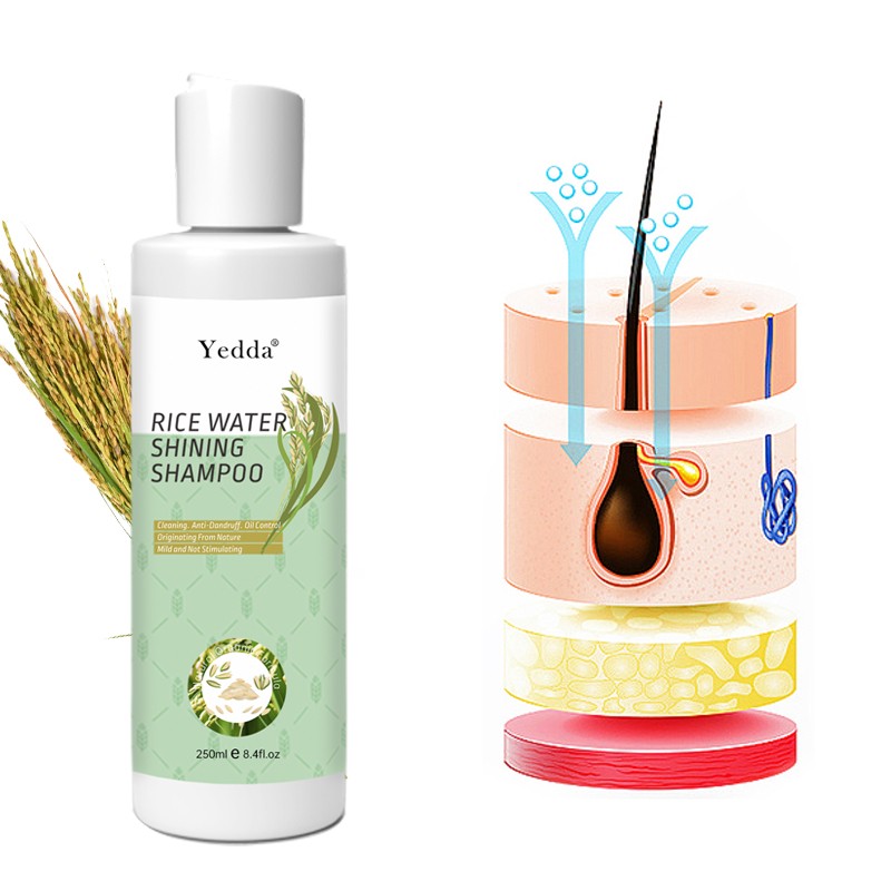 Rice Shampoo - Biotin Rich Moisturizing OEM