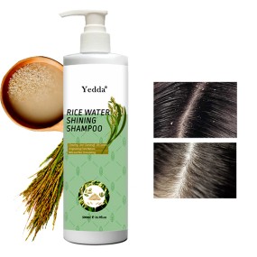 Anti Hair Loss Shampoo - Rice Water Formula