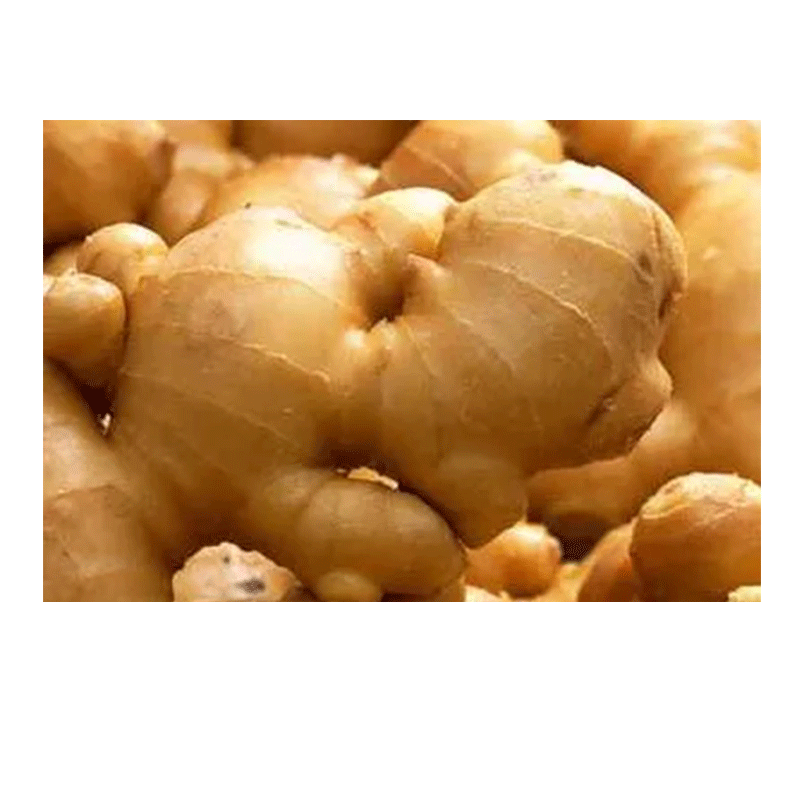 Ginger Hair Conditioner - Herbal Deep Conditioning