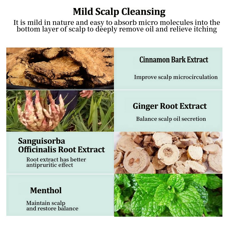 Anti Dandruff Shampoo - Plant Extract Custom