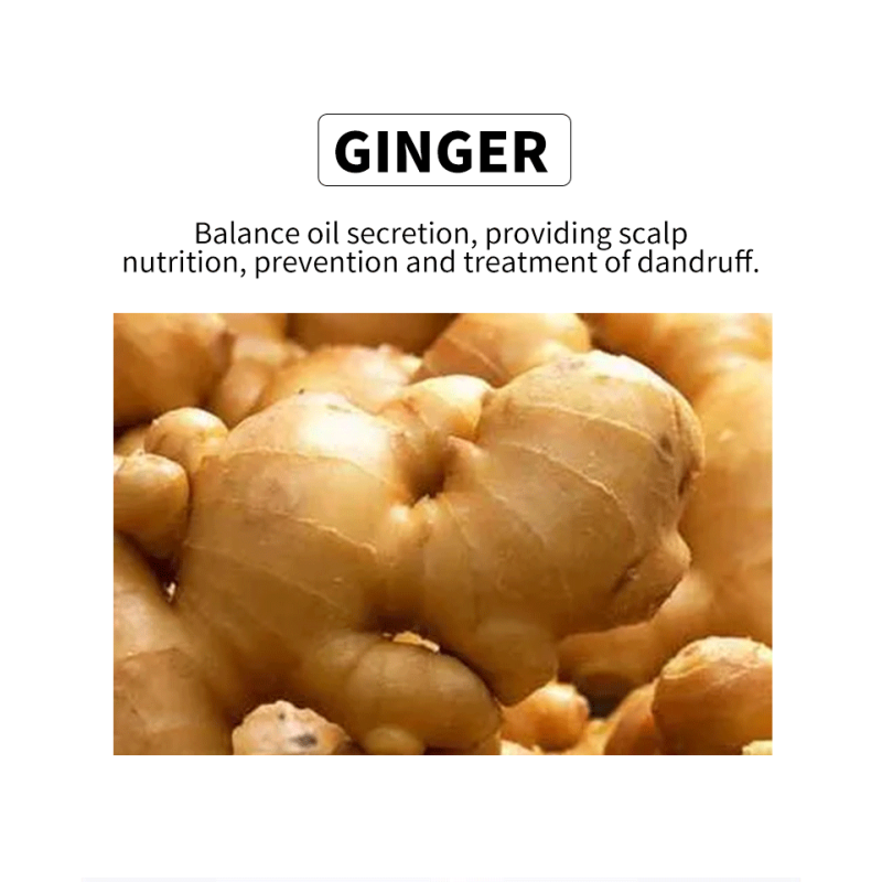 Ginger Shampoo Set - 500ml Hotel Use OEM