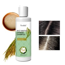 Fermented Rice Shampoo - 250ml Refreshing