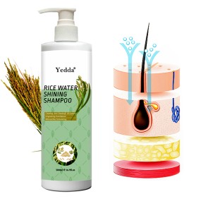 Rice Shampoo Set - Unisex Refreshing Repair