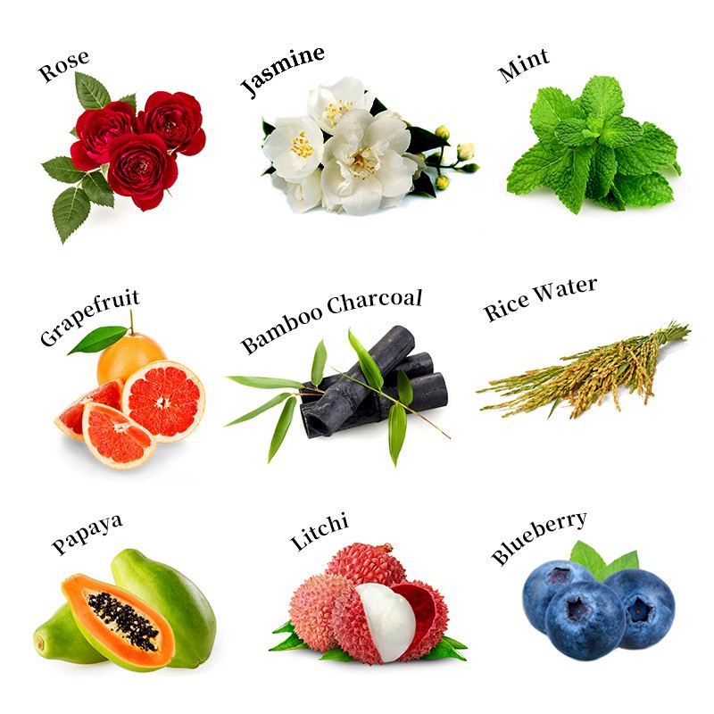 Red Onion Shampoo - Organic Anti Hair Loss