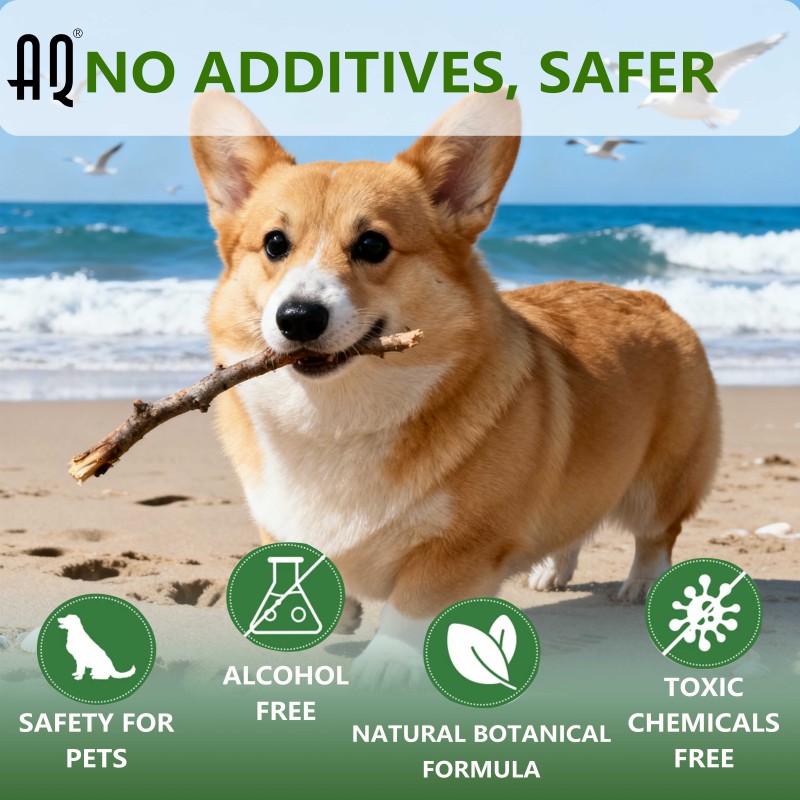 Pet Sun Spray Manufacturer - AIQI SPF50 Dog Sunscreen UV Protection Alcohol Free No Zinc Oxide