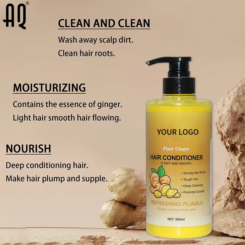 Hair Conditioner Manufacturer - Manufacturer Deep Cleansing Natural Japan Ginger Plant Nourishing Anti Dandruff