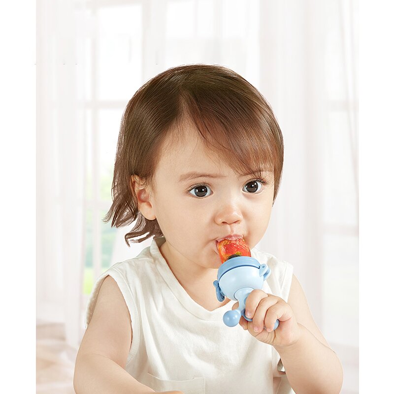 Baby Pacifier Feeder Manufacturer - In Stock BPA Free Fruit Food Feeder