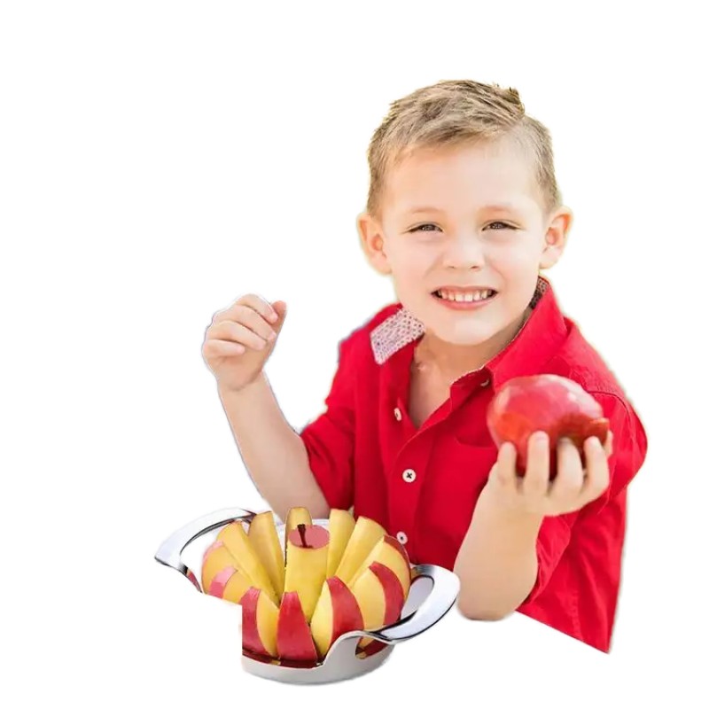 Apple Slicer - 8-Slice Stainless Steel