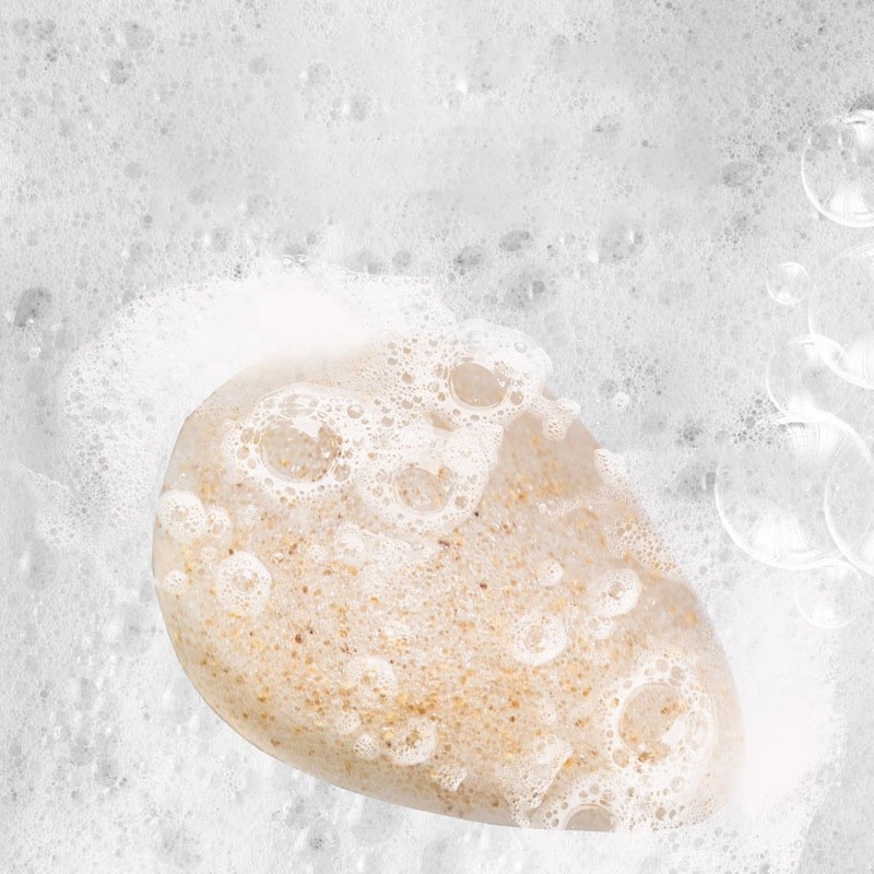 Walnut Sponge - Exfoliating Konjac Body