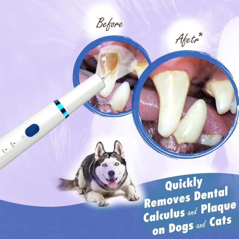 Ultrasonic Teeth Cleaner Manufacturer - Professional for Pets Tartar Remover