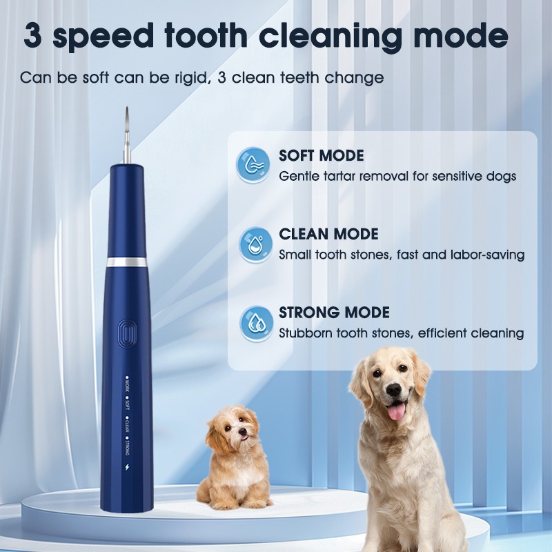 Dental Scaler Manufacturer - Smart Vibration Models for Dogs Tooth Stain Tartar Remover