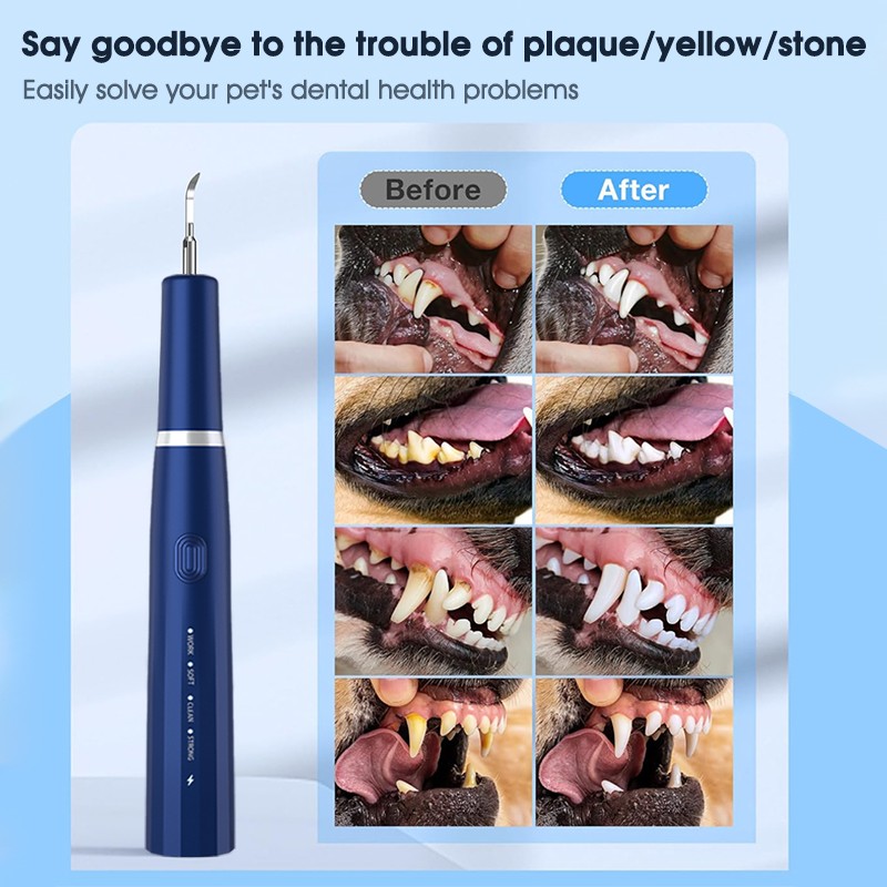 Dental Scaler Manufacturer - Smart Vibration Models for Dogs Tooth Stain Tartar Remover