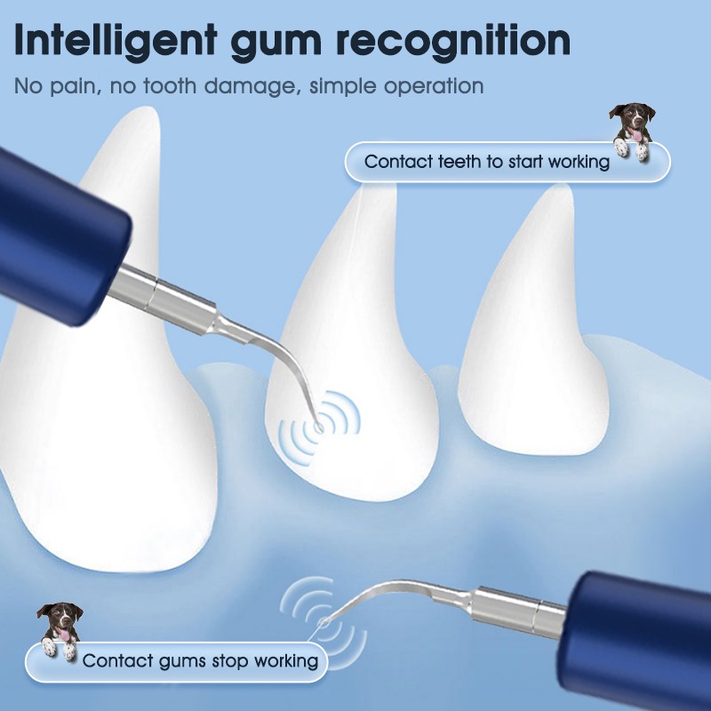 Dental Scaler Manufacturer - Smart Vibration Models for Dogs Tooth Stain Tartar Remover