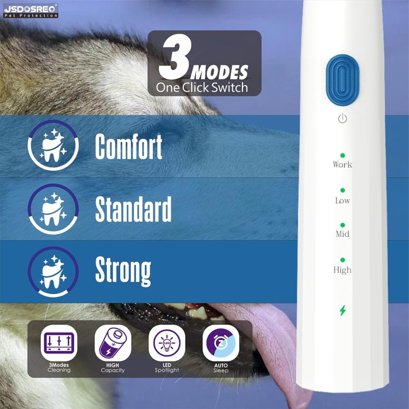 Ultrasonic Teeth Cleaner Manufacturer - Professional for Pets Tartar Remover